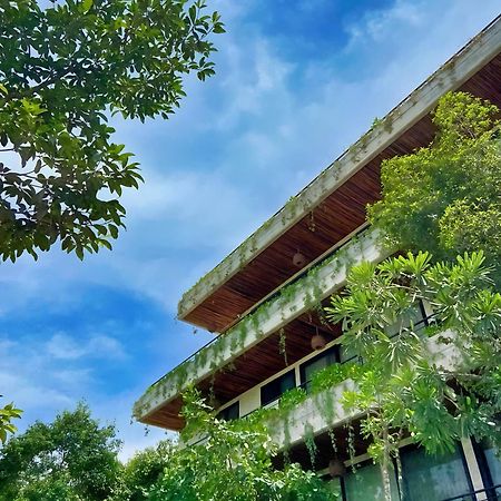 Etnica Ku - Tulum Jungle Paradise Bagian luar foto